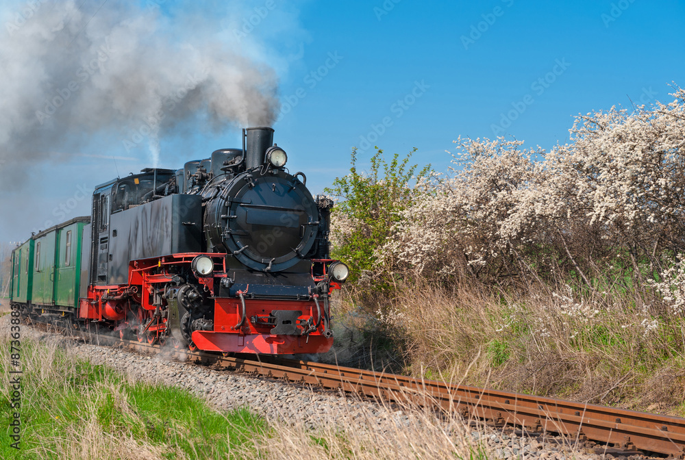 Obraz premium Historical steam train on island Rugen
