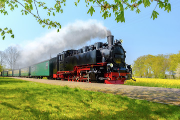 Fotobehang Trein Duitse stoomtrein door lentevelden  © tilialucida