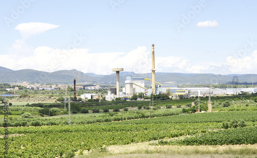 Viñedos y fábrica en La Gornal, Barcelona photo