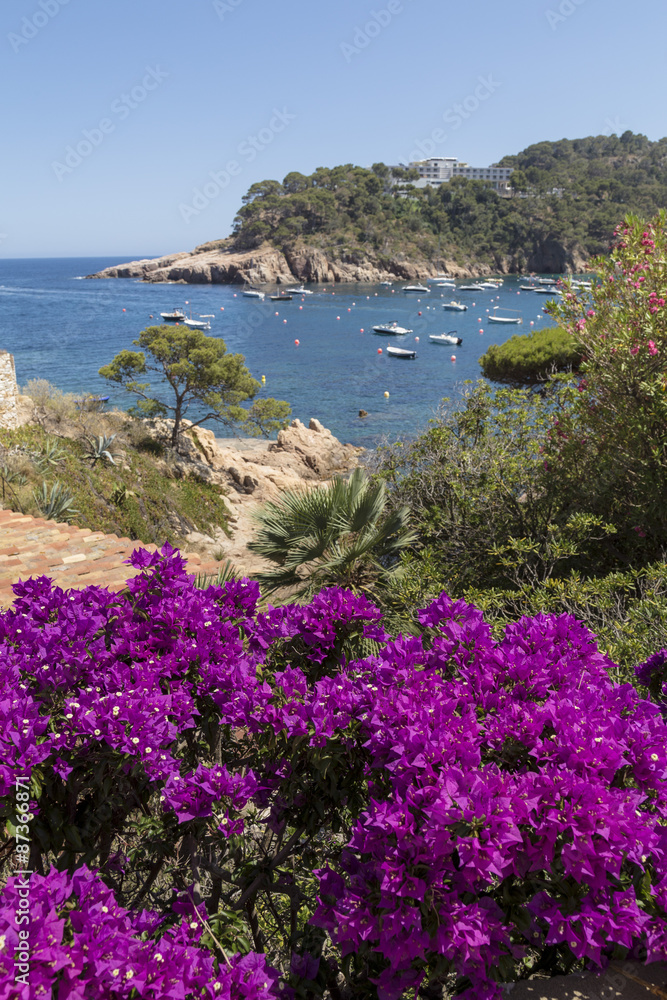 Costa Brava beach coast with purple flowers on the foreground