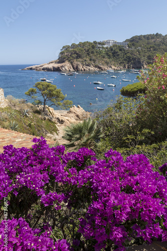 Costa Brava beach coast with purple flowers on the foreground