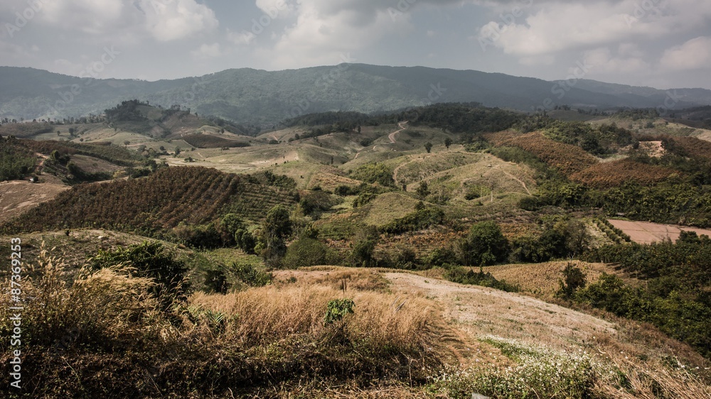 Fototapeta premium the border between thailand and laos