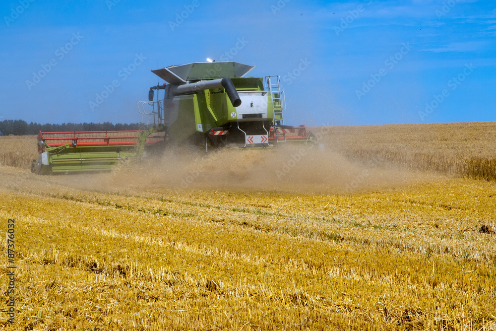 Obraz premium Gerstenfeld wird abgeerntet