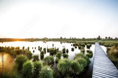 Schöner See mit Steg im Dämmerlicht in unberührter Natur photo