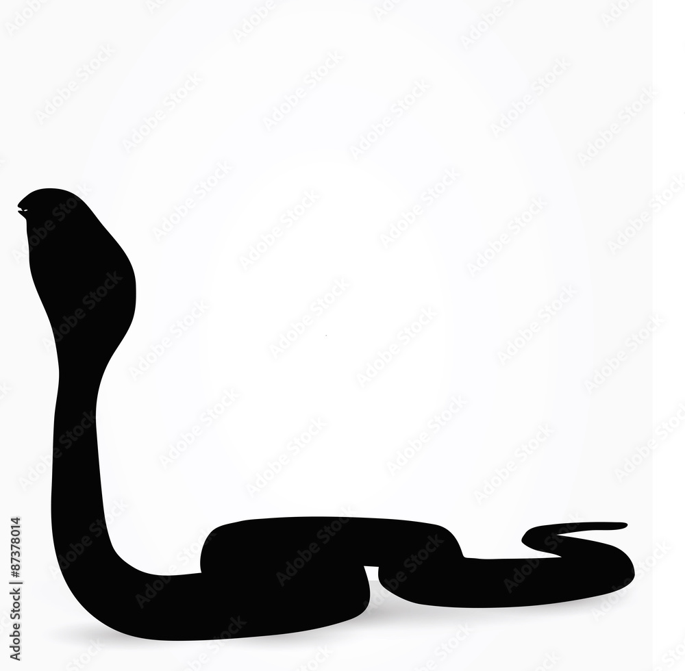 snake silhouette snake silhouette