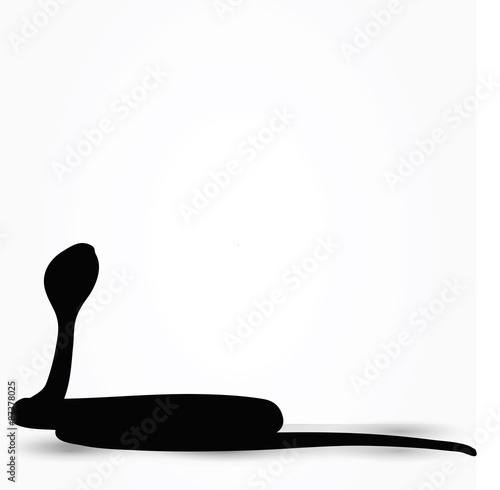 snake silhouette