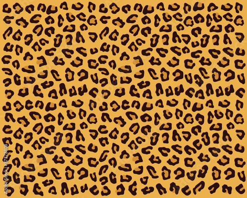 Leopard pattern, vector illustration