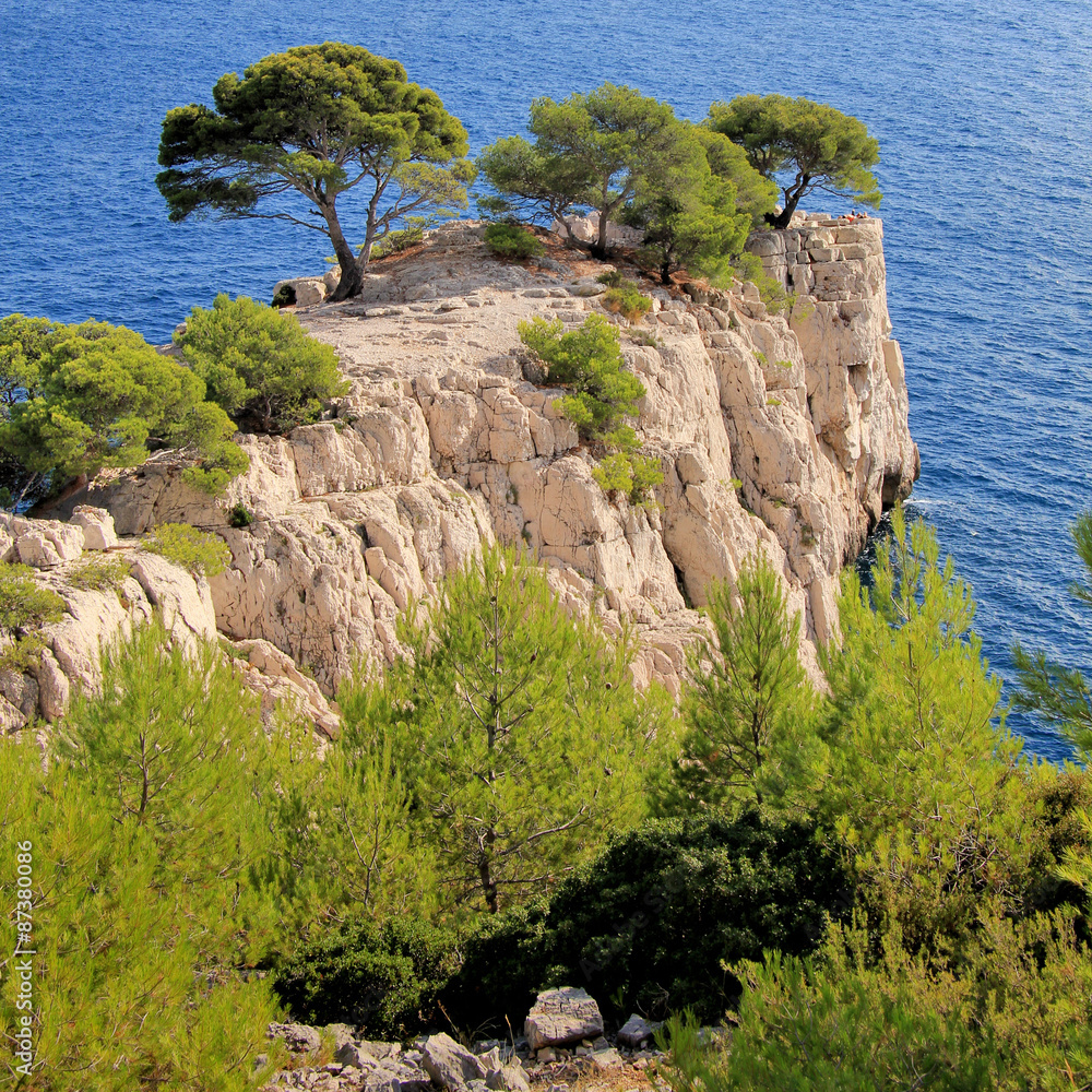 Pointe de rochers blancs et pins maritimes au dessus de la mer dans les calanques de Cassis