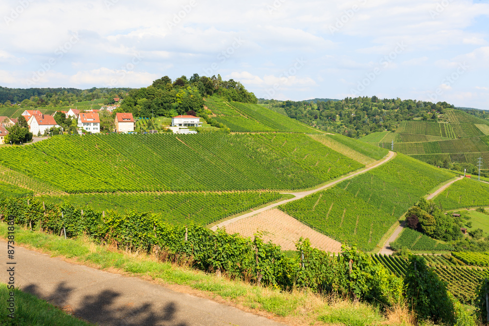 Beautiful geman wine fields landscape