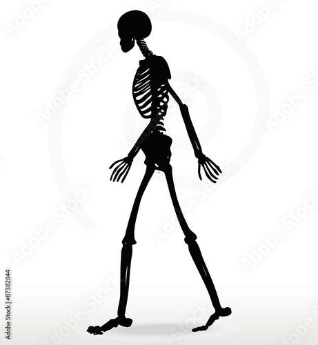 skeleton silhouette in walk