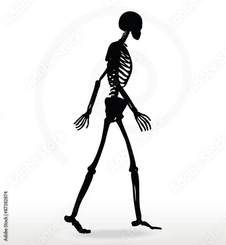 skeleton silhouette in walk