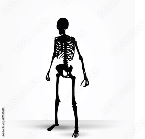 skeleton silhouette in standing pose