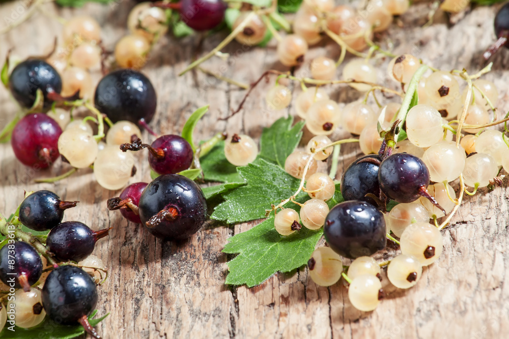 Black and white currant with leaves on old wooden background, se Black and white currant with leaves on old wooden background, se