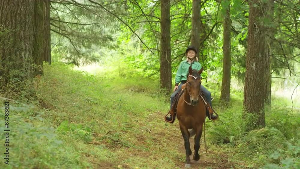 Young girl riding a horse in a forest Young girl riding a horse in a forest