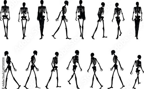 skeleton silhouette in walk