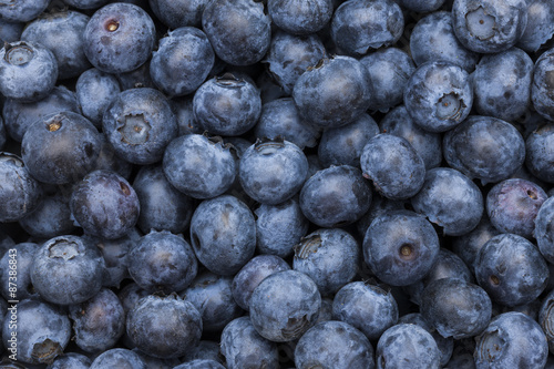 Blaubeeren