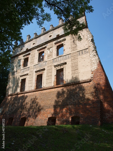 Castle in Krupe, Poland photo