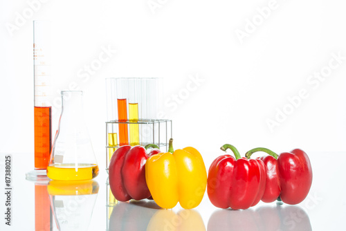 vegetable test, Genetic Modification, Pepper