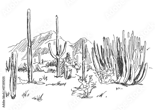 hand sketch American Desert