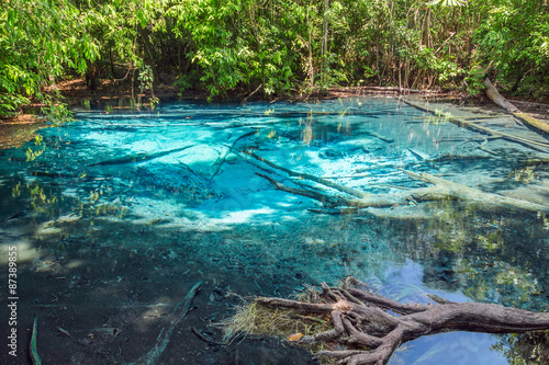 Fototapeta Naklejka Na Ścianę i Meble -  The Blue pool in the forest