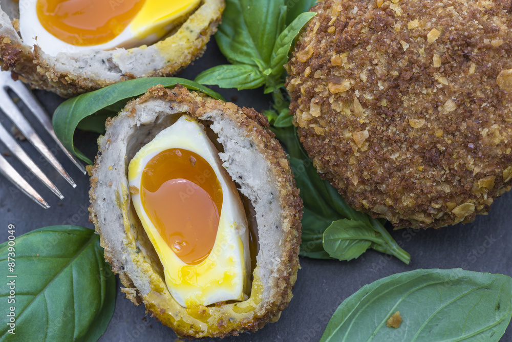 Scotch egg Scotch egg