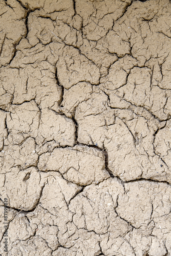 Soil cracks Soil cracks