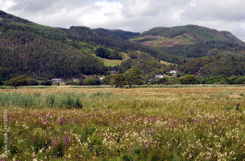 Llanelltyd near Dolgellau in Snowdonia.