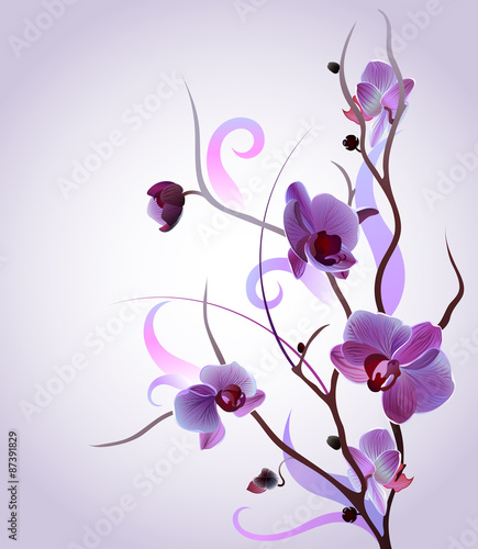 Vector greeting card with orchid brunch