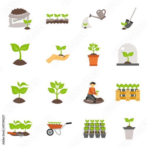 Seedling Flat Icons Set