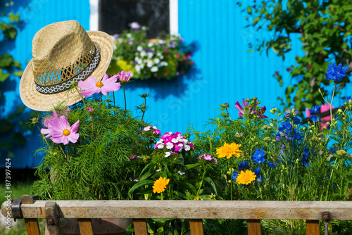 Fototapeta Naklejka Na Ścianę i Meble -  Landidylle