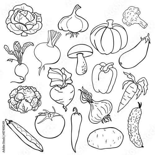 vector illustration - Vegetables