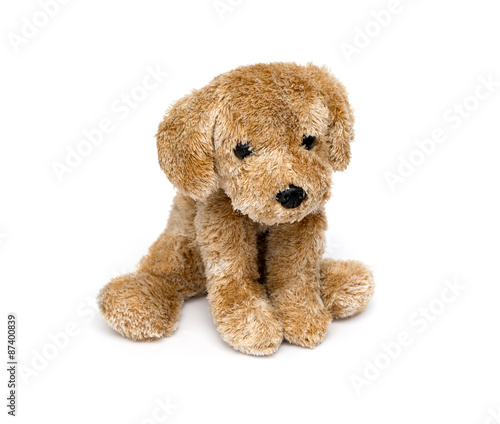 Photography Cute puppy toy shot on white