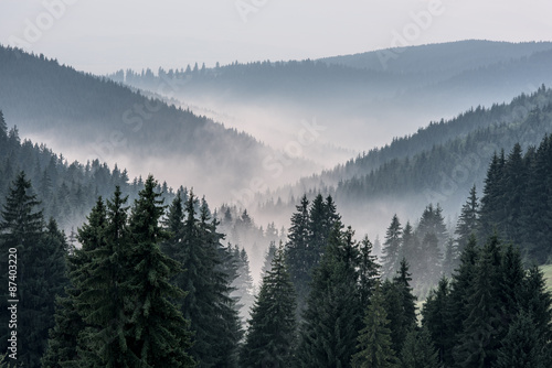 Foggy Landscape. View From Mountains to the Valley Covered with Foggy.