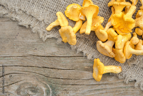 chantarelles over oak board photo