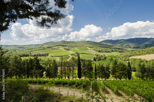cultivate wine in Tuscany