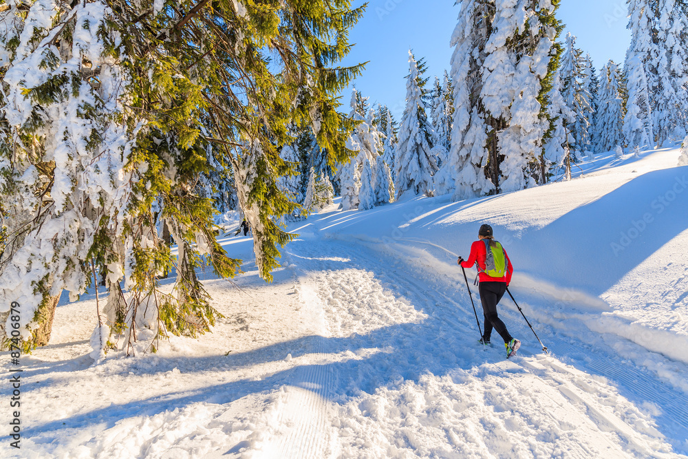 Fototapeta premium Unidentified young woman with backpack running in Gorce Mountains in winter season, Poland