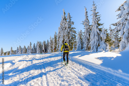 Unidentified ski tourer on trail in winter landscape of Gorce Mountains, Poland