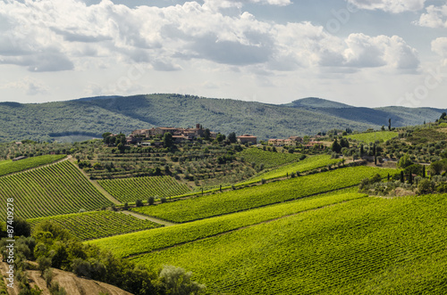vineyards in the area of Chianti in Tuscany  Italy