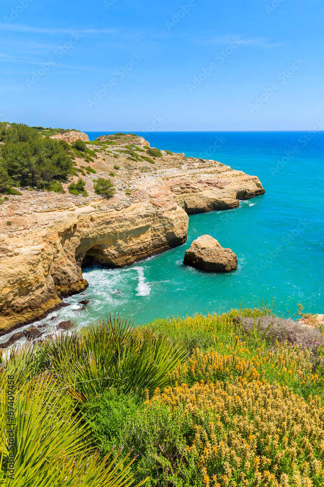 Spring flowers on coast of Algarve region and view of cliffs with blue sea, Portugal