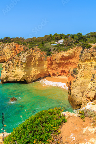 Green plants in spring and view of beautiful secluded beach, Algarve region, Portugal