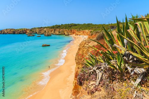 Agave plant and view of beautiful Praia da Rocha beach, Algarve region, Portugal photo