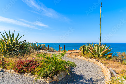 Coastal promenade with tropical plants on Praia da Rocha beach in Portimao town  Portugal