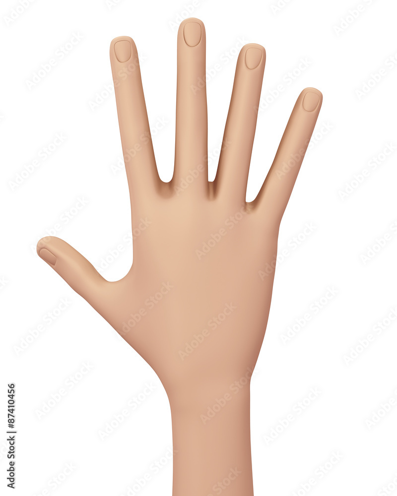 hand showing number 5 hand showing number 5