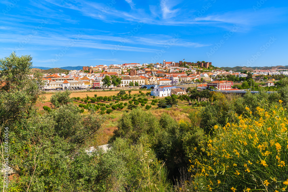 Spring yellow flowers with view of Silves town built on green hill, Algarve region, Portugal