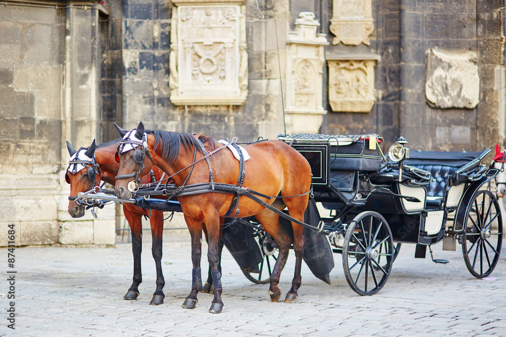 Horse-driven carriage in Vienna, Austria Horse-driven carriage in Vienna, Austria