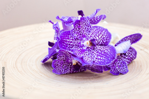 Fototapeta Naklejka Na Ścianę i Meble -  Orchids vanda on wooden plate