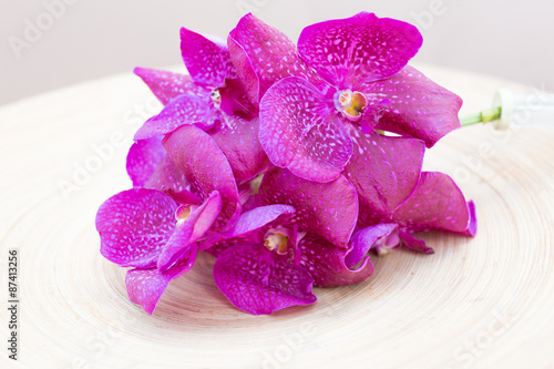 Orchids vanda on wooden plate