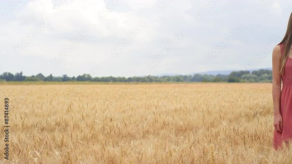 Beautiful Brunette Standing in a Wheat Field Beautiful Brunette Standing in a Wheat Field