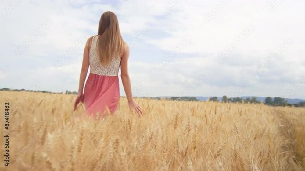 Beautiful Brunette Walking Through a Wheat Field Beautiful Brunette Walking Through a Wheat Field