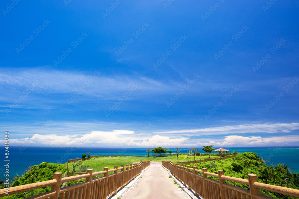 沖縄の海・知念岬公園 
